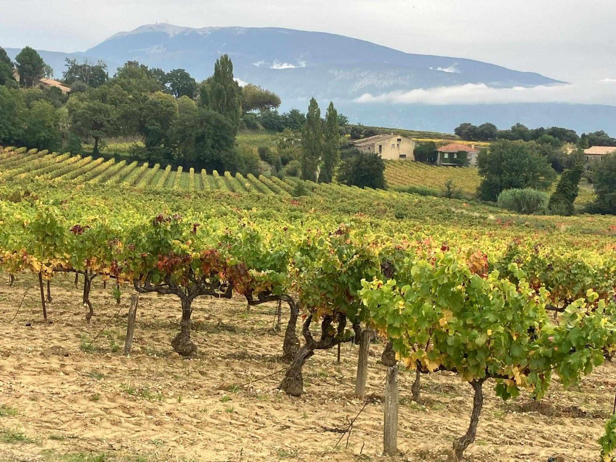 La Clairiere Villa Pierrelongue Luaran gambar