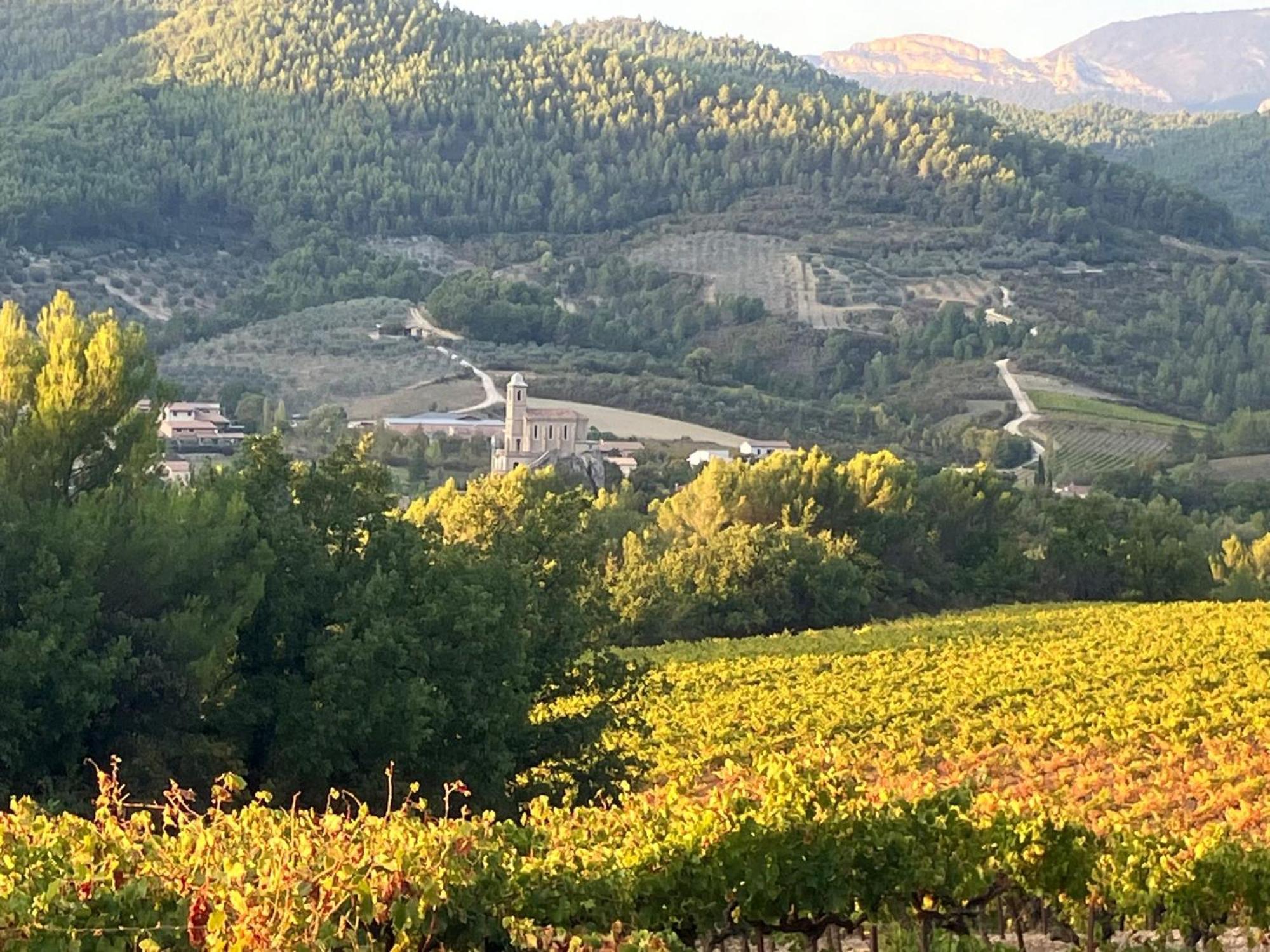 La Clairiere Villa Pierrelongue Luaran gambar