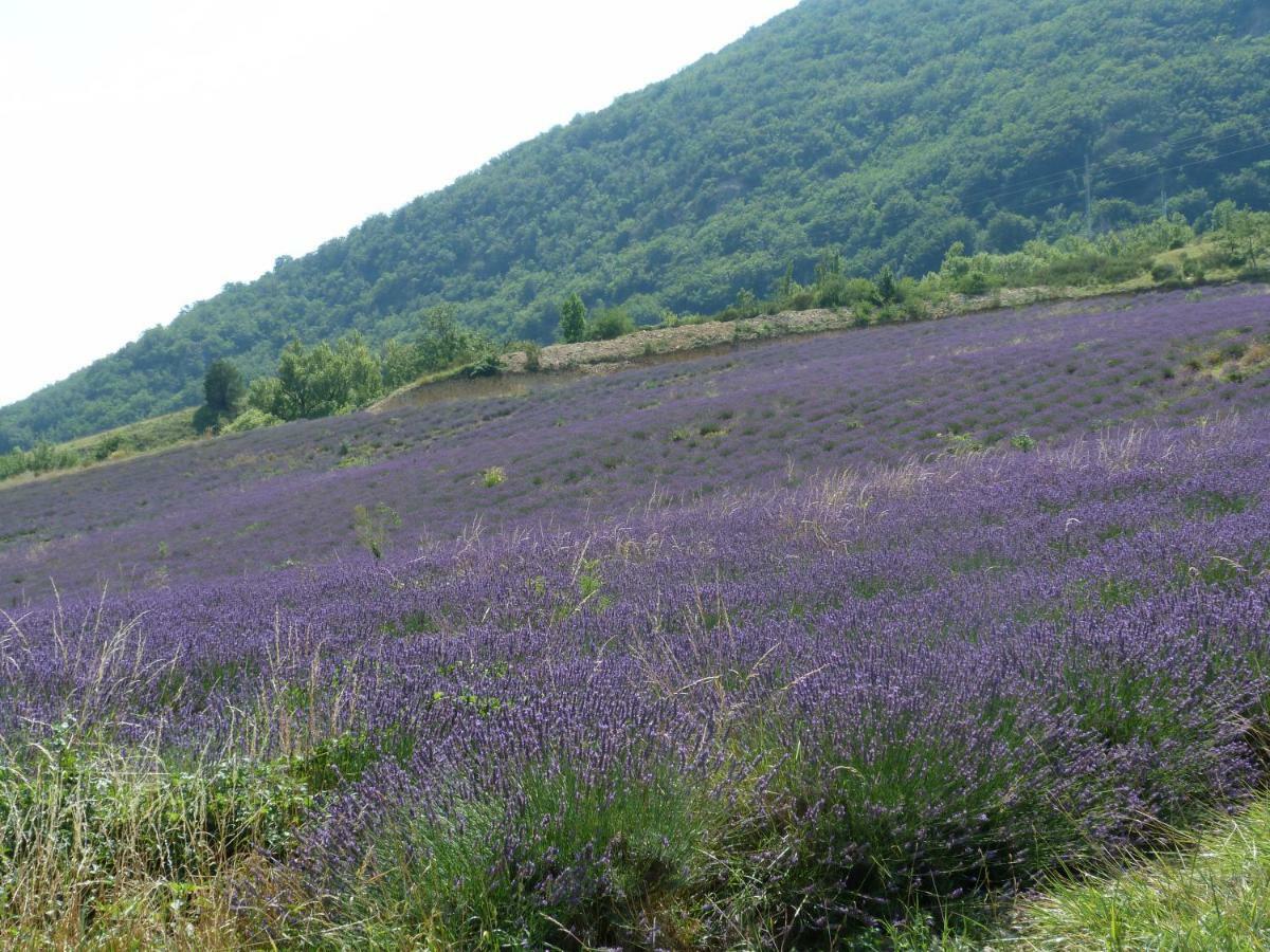 La Clairiere Villa Pierrelongue Luaran gambar